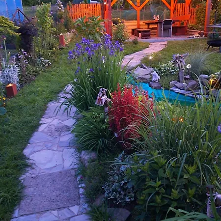 - Lipowa żywiec Beskidy 3*